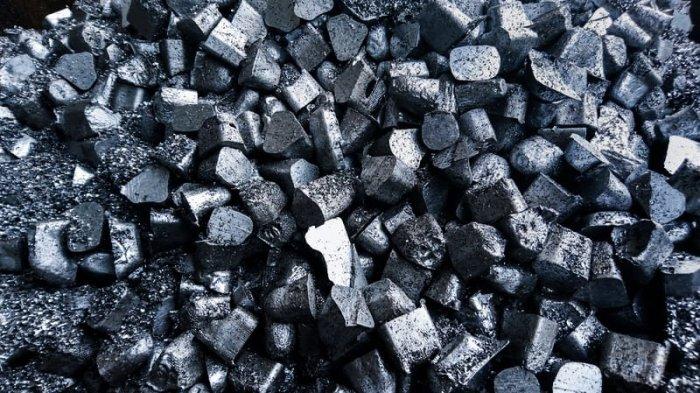 Ini Langkah Pertachem dalam Hilirisasi Industri untuk Mencapai Swasembada Energi