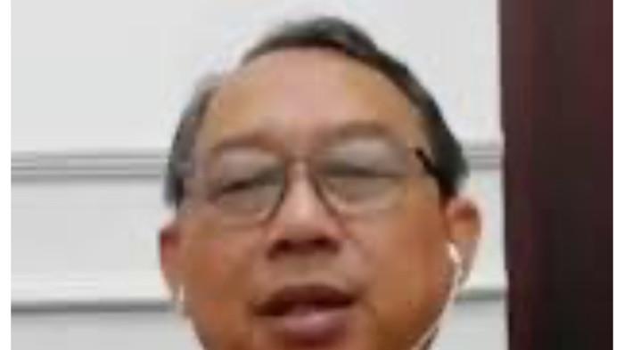 profile tribunners