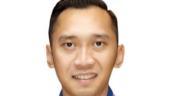 profile tribunners