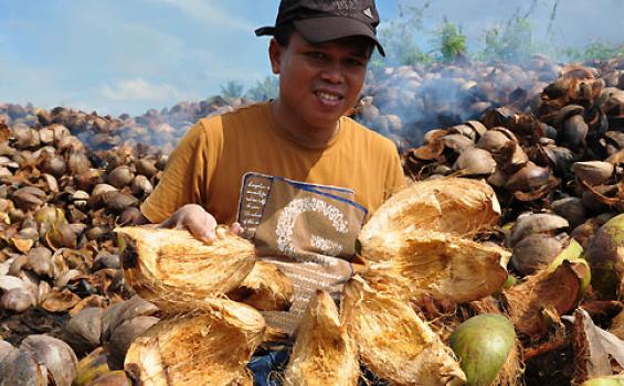 9 Perusahaan India dan Srilanka Ingin Datangkan Sabut Kelapa dari Indonesia
