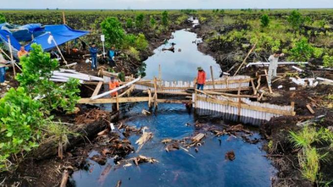 Kemarau Tiba, Upaya Perlindungan Ekosistem Gambut di Sumatera Diperkuat