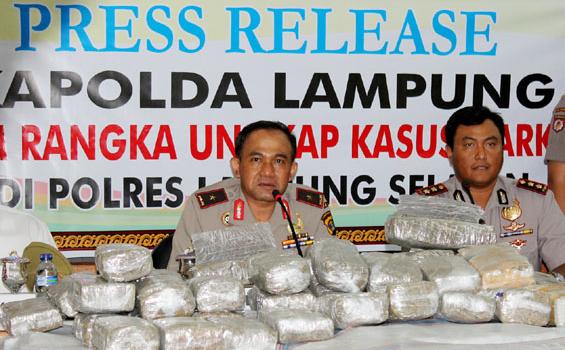 Modus Baru Pengedar Ganja, Palsukan Mopol Kendaraan