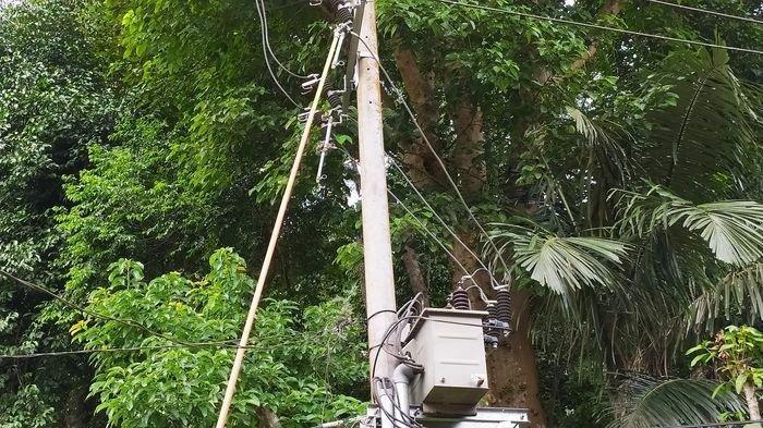 Akibat Ulah Monyet Bergelantungan di Kabel, Gardu Listrik di Cikakak Sukabumi Meledak