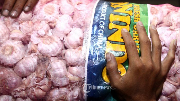 Uniknya Strategi Menuju Swasembada Bawang Putih