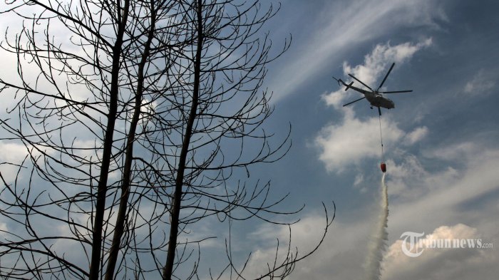 13 Titik Panas Terdeteksi di Sumatera, Terbanyak di Sumut