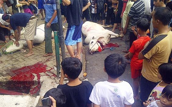 Warga Padati Pemotongan Hewan Kurban di Tanah Abang