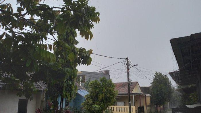 BREAKING NEWS Imbas Hujan Deras dan Angin Kencang di Bogor Pohon Tumbang dan Mati Listrik