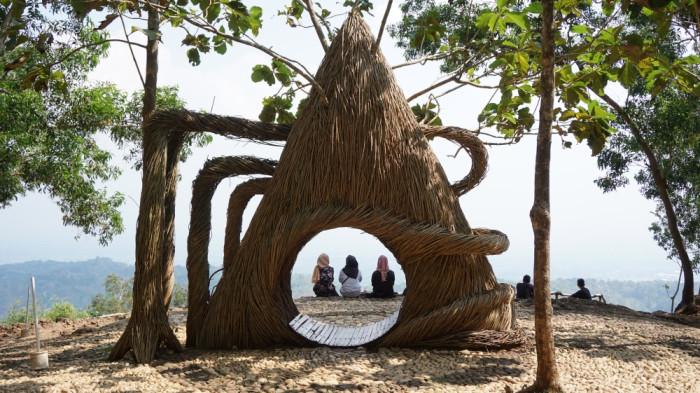 hutan pinus pengger bantul