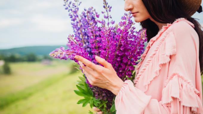 ilustrasi bunga lavender