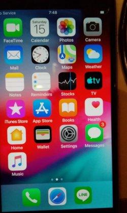 Pemerintah Jepang Pinjamkan 2.000 iPhone kepada Penumpang Kapal Pesiar Diamond Princess