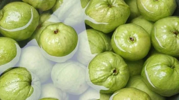 jambu kristal milik UMKM Zildan Jambu Crystal