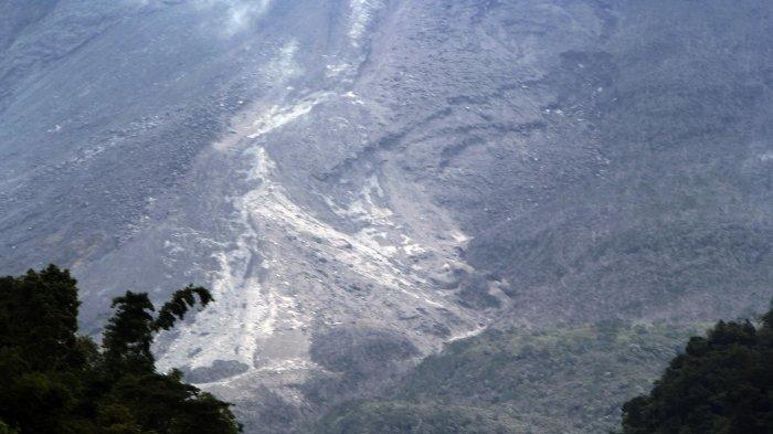 Foto-foto Terbaru Jalur Awan Panas, Vegetasi Lereng Merapi Terbakar