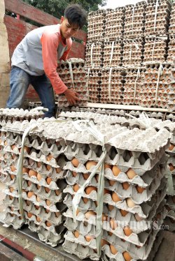Stabilkan Harga, Mendag Berencana Serap Telur dari Peternak untuk Bansos