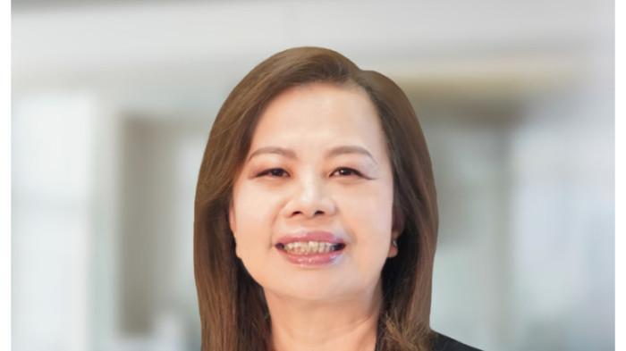 profile tribunners