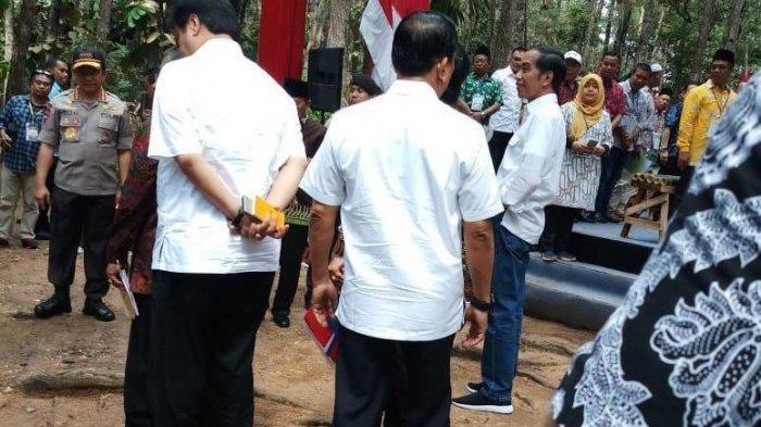 Niat Mbah Tini Bersalaman dengan Jokowi di Hutan Pinus Kotabaru Tak Kesampaian
