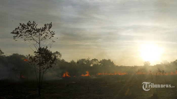 Hari Ini 63 Titik Panas Terdeteksi di Sumatera