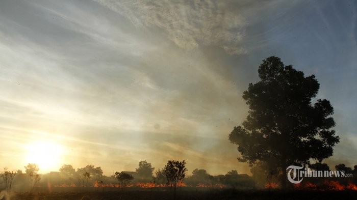 96 Titik Panas Terdeteksi di Wilayah Sumatera