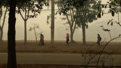 Jelang Kedatangan Jokowi, Jarak Pandang di Jambi Malah Merosot Hingga 300 Meter