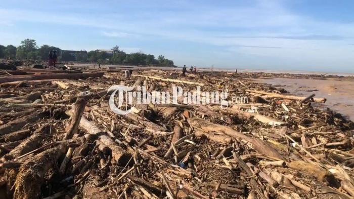 BANJIR SUMATRA - Tumpukan kayu gelondongan memenuhi bibir Pantai Parkit di Kelurahan Air Tawar Barat, Kecamatan Padang Utara, Kota Padang, Sabtu (29/11/2025). Pantauan TribunPadang.com di lokasi menunjukkan kayu berbagai ukuran mulai dari gelondongan besar hingga potongan kecil berserakan sepanjang garis pantai.