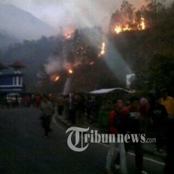 Kebakaran dan Badai, Jalur Pendakian ke Gunung Lawu via Cemoro Sewu Ditutup Sementara