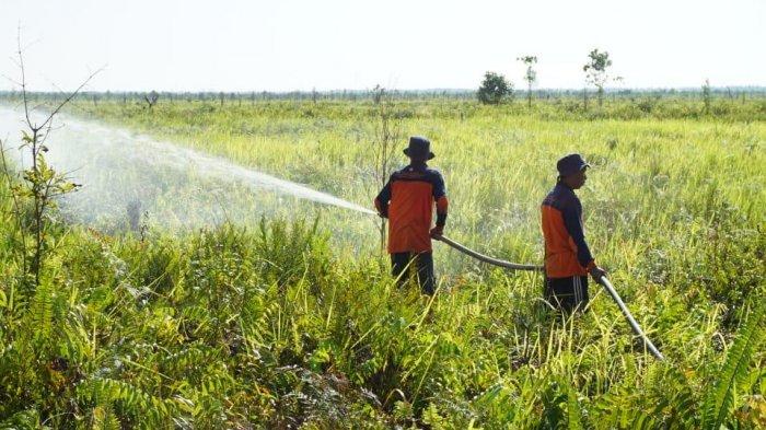 Antisipasi Kebakaran Gambut di Kalimantan Perlu Libatkan Masyarakat dan Kolaborasi Lintas Sektor