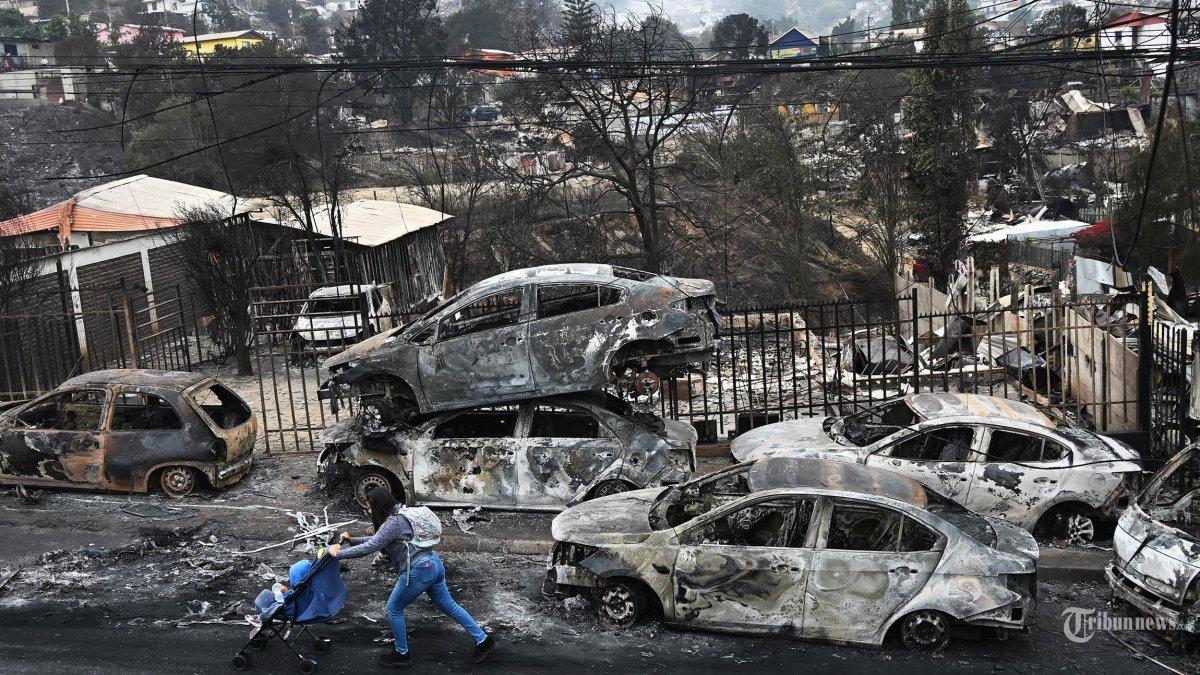 Korban Jiwa dalam Kebakaran Hutan Chile Capai 112 Orang, 26 Ribu Hektar Lahan Terbakar
