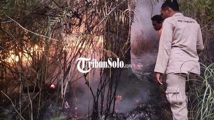Pengecekan Titik Kebakaran Hutan di Gunung Lawu, Sartono: Memastikan Tak Ada Titik Api