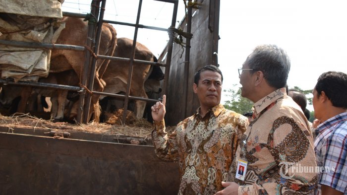 Sudah Studi ke Australia dan Dana Ada, Tapi Pemkab Sidoarjo Belum Bisa Bangun RPH
