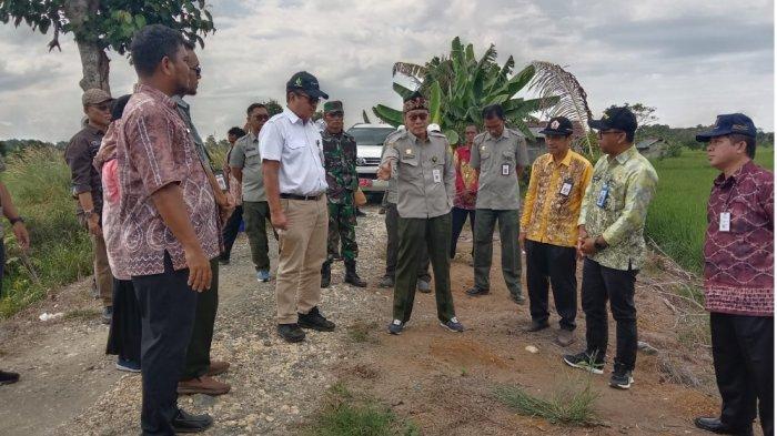 Wujudkan Swasembada Pangan, Kalsel Dukung Program Andalan Kementan