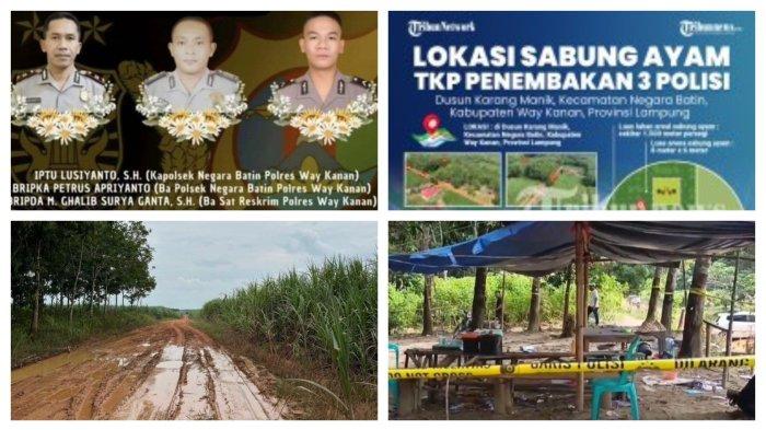 Ada Dugaan Setoran Judi Sabung Ayam ke Polsek dan Koramil Picu Insiden Maut Penembakan 3 Polisi
