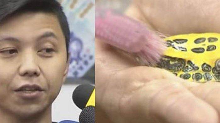 Bertugas Menyikat Kura-Kura, Pria Ini Bekerja sebagai Pembantu Rumah Tangga dengan Gaji Fantastis