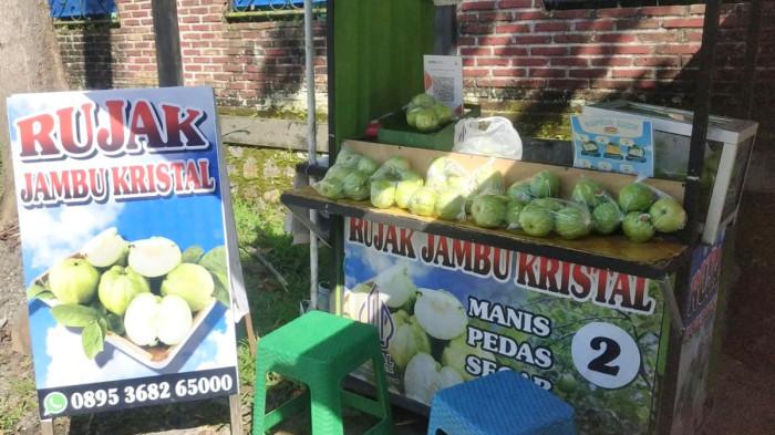 lapak zildan jambu crystal
