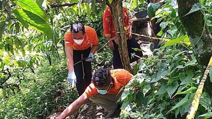 Warga di Jember Geger Temukan Gulungan Sajadah Berisi Mayat Bayi yang Sudah Membusuk