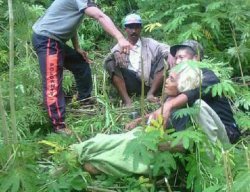Awalnya Dikira Hantu, Ternyata Mayat Seorang Lansia