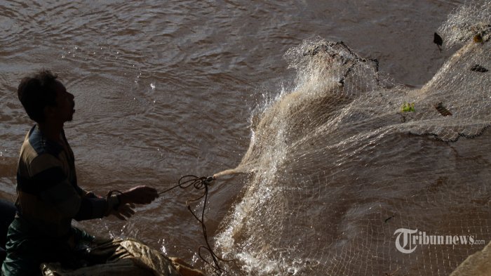 CARI IKAN SAPU-SAPU - Pencari ikan sapu-sapu duduk di atas ban dengan menebar jala di Kali Ciliwung, Bukit Duri, Jakarta Selatan, Minggu (23/2/2020). Pencari  ikan yang mengikuti arus air ini menjual ikan pencarian seharga Rp 15.000/perkilo.