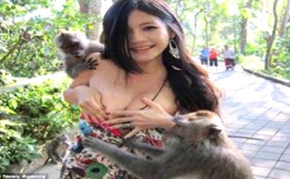 Monyet Nakal Peloroti Bikini Mahasiswi Hingga Dikenal Dunia