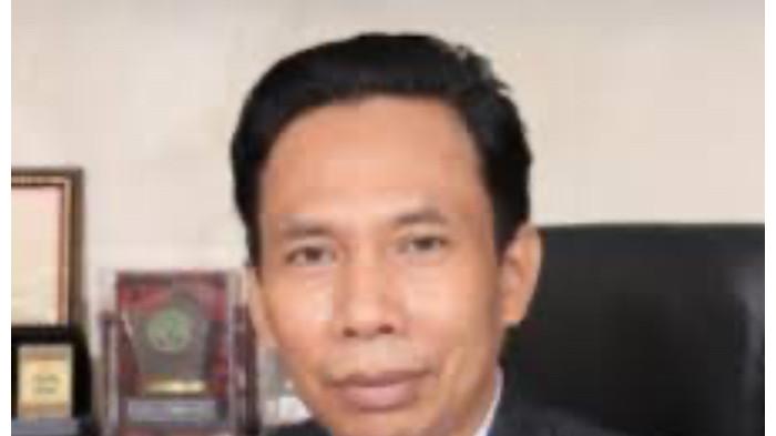 profile tribunners