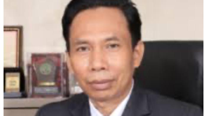 profile tribunners