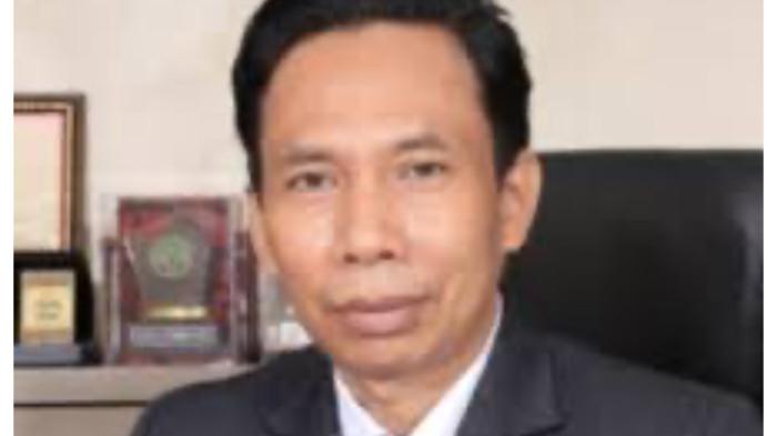profile tribunners