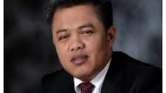 profile tribunners