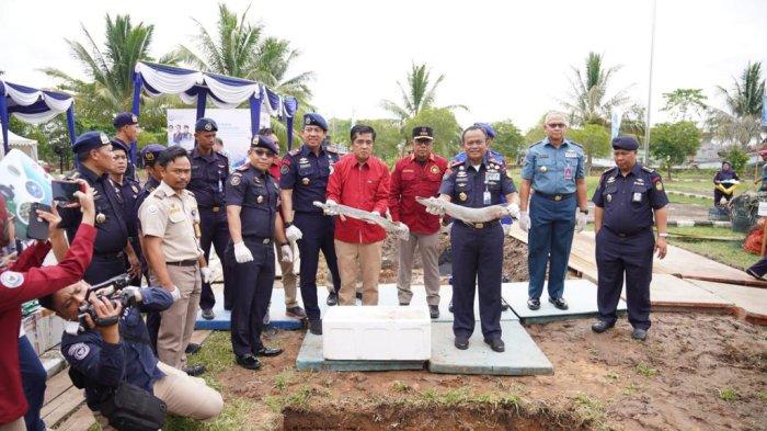 KKP Musnahkan Ikan Aligator, 1,7 Ton Obat Ikan Ilegal dan Alat Tangkap yang Merusak