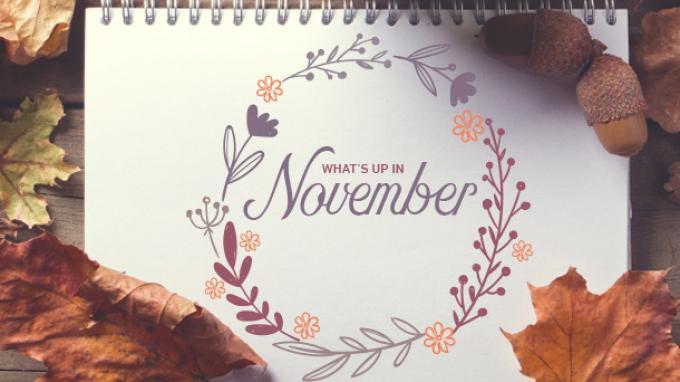 Ilustrasi November