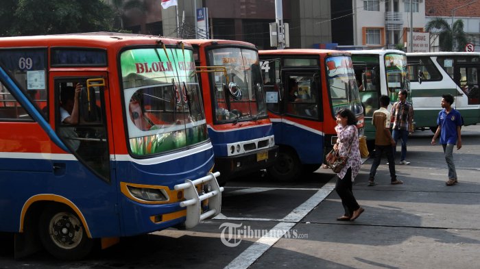 Tukli pussies bilan lezbiyenler cunnilingus bilan shugullanadilar