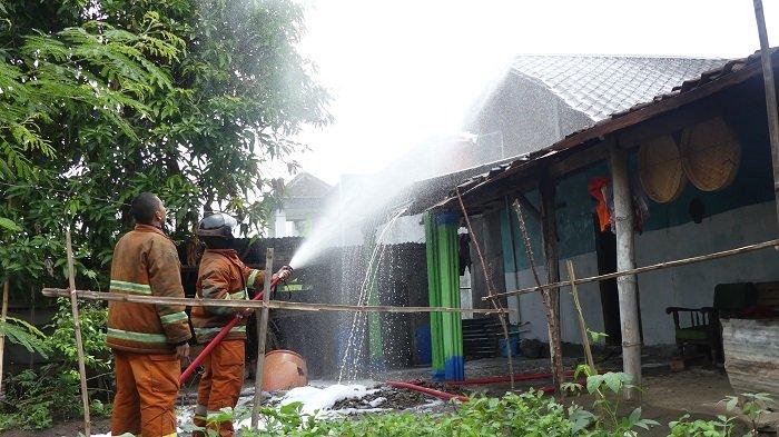 Sepanjang 2018 di Sukoharjo, 6 Orang Tewas dan Puluhan Lain Dirawat di RS karena Serangan Tawon