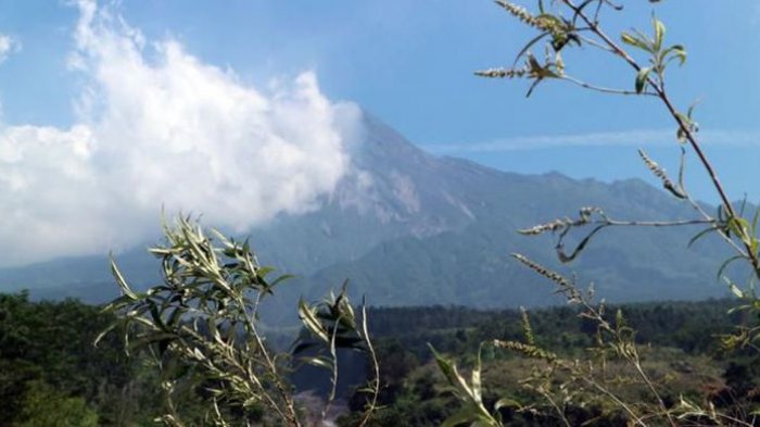 Warsito Sendirian Menuju Bungker Kaliadem Merapi Tapi Tak Kunjung Kembali