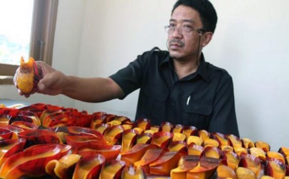 Mau Diselundupkan 189 Paruh Burung Enggang Dicampur Kayu