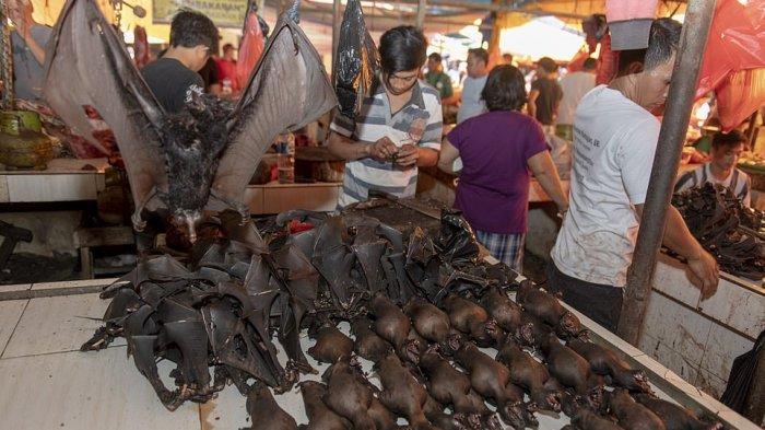 Imbas Wabah Virus Corona, Begini Nasib Pasar Tomohon Kini