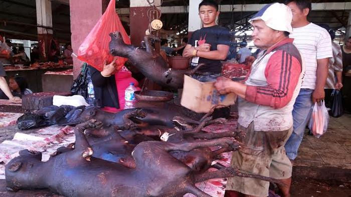 Bergidik Melihat Daging Kucing, Anjing, Kelelawar dan Ular Piton di Pasar Kuliner Ekstrem di Tomohon