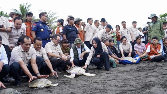 Penyu Terancam Punah, Pemerintah Minta Masyarakat Sama-sama Jaga Konservasi