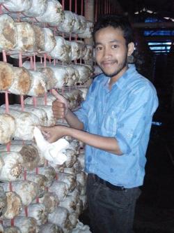 Lewat Jamur Agatha Virdhi Bikin Penyedap Masakan Berbahan Alami